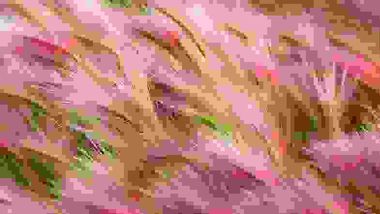 Zoom: foxtail-barley.jpg