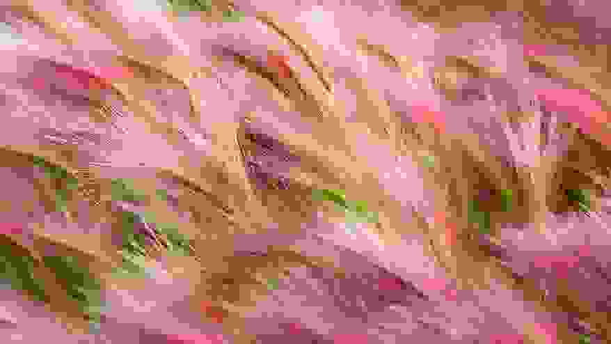 foxtail-barley.jpg
