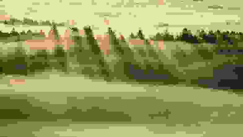 Zoom: foggy-forest.jpg