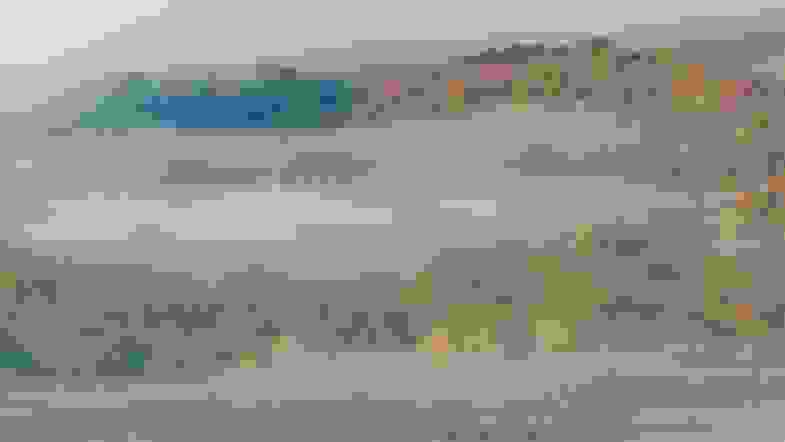Zoom: forest-in-mist.jpg