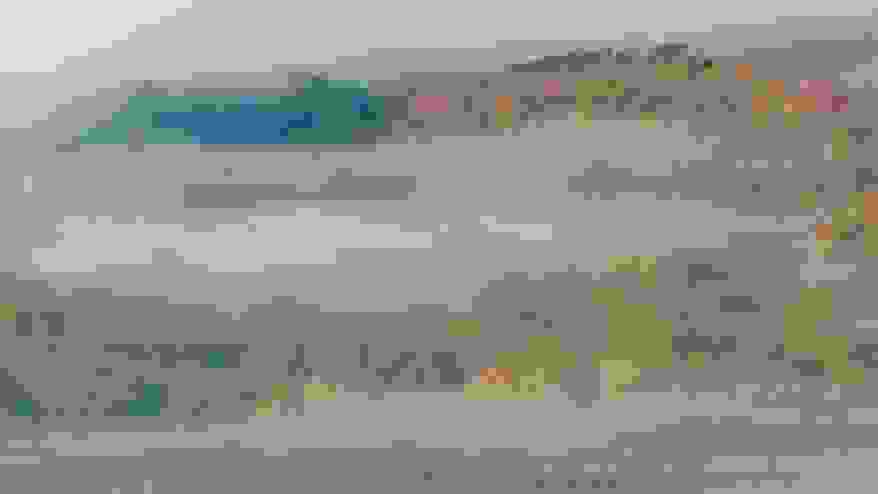 forest-in-mist.jpg