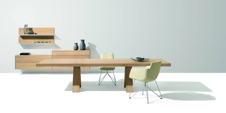 Zoom: Auszugstisch Tema Team 7